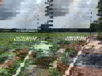 Chính chủ bán gấp đất 5x60m, sổ hồng riêng, thổ cư sẵn, cách chợ 500m