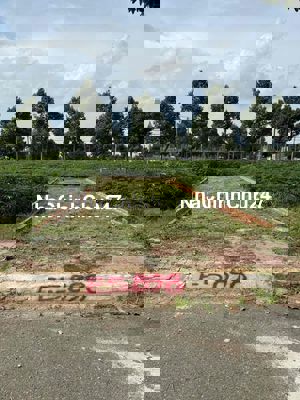 CHÍNH CHỦ BÁN NỀN ĐẤT LAN ANH 2, P TAM LONG, TP HCM