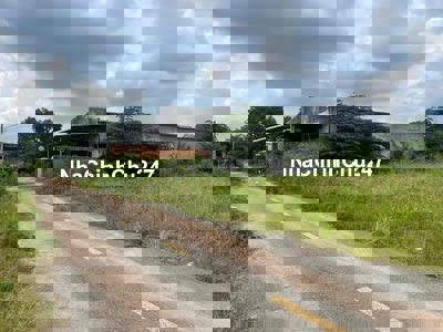 chính chủ cần bán đất bàu bàng giá chỉ 840tr