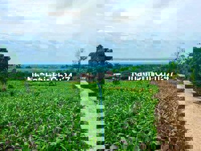 CHỦ KẸT RA GẤP 1,4 SÀO PHỦ HỒNG