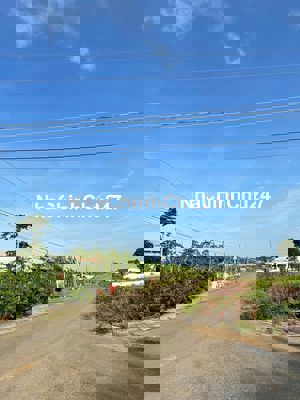 KẸT TIỀN CHỦ NGỘP CẮT LỖ BÁN LÔ ĐẤT ĐƯỜNG SỐ 15 HÒA LONG 126M2/1TY150