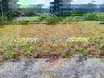 CHÍNH CHỦ CẦN BÁN ĐẤT ĐƯỜNG NGUYỄN THỊ RÀNH – AN NHƠN TÂY, CỦ CHI