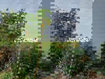 Cần bán lô đất chính chủ giá 420tr DT 68m2, phường Tân Phong, Biên Hoà