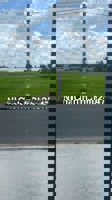 Chính Chủ Bán Gấp Đất Mặt Tiền Lớn TT Cần Đước