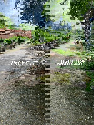 Nhà chính  chú gia Lộc -trảng bàng