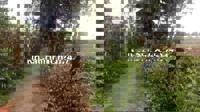 Bán lô đất chính chủ MT đường Duyên Hải full thổ cư