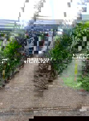 chính chủ cần bán gấp