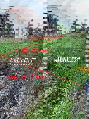 Chủ ngộp bán gấp lô 10x50 giá 750tr mặt tiền Nguyễn Kim Cương sổ sẵn