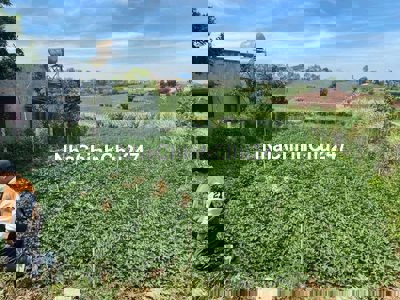 🌄 CHÍNH CHỦ BÁN – MẢNH ĐẤT HIẾM CÓ KHÓ TÌM TẠI LÂM ĐỒNG