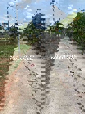 Bán Đất Chính Chủ tt Long Điền 1.6ti