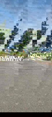 chính chủ đường bát nàng công chúa 100 m khu tân trà