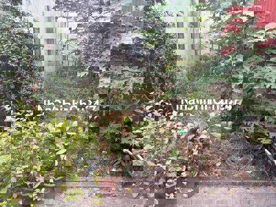 Chính chủ cần bán đất thổ cư