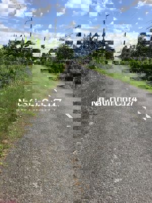 Chính chủ cần bán đất mặt tiền đường Tân Phú, TP Vĩnh Long