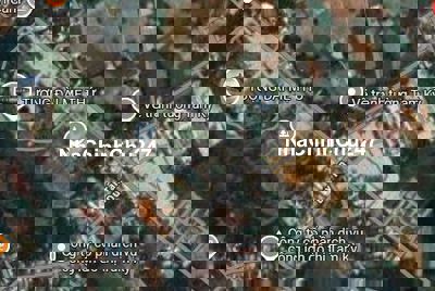 Nhà đất chính chủ gần biển Tam Thanh