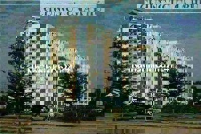 CHỦ CẦN BÁN GẤP CĂN GÓC CHUNG CƯ GIA PHÚ PHÚ BÌNH TÂN