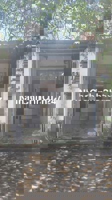 Bán nhà shr chính chủ