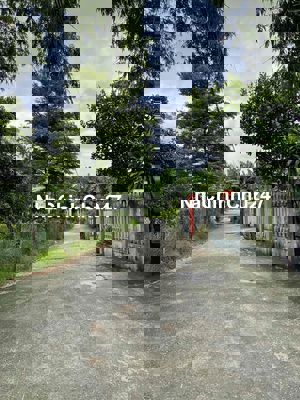 CHÍNH CHỦ GỬI BÁN LÔ ĐẤT ĐẸP MẶT TIỀN 10M  THÔN TRÀ KIỂM HOÀ XUÂN ✅DT