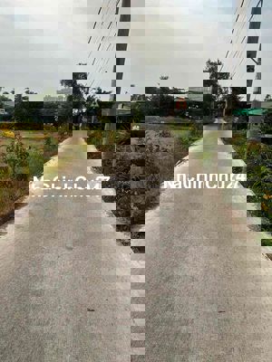 Chủ cần bán gấp đất DÂN CƯ MỚI 2.100m2 đối diện Chợ Bình Điền