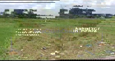 Đất chính chủ Cần bán