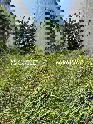 CHÍNH CHỦ SỔ HỒNG CÔNG CHỨNG TRONG NGÀY 126M2