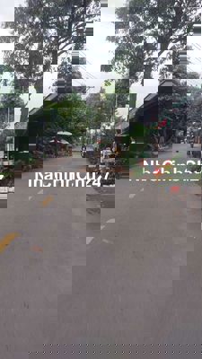 Chính chủ gửi bán Đất Mặt Tiền Nhựa 8m - Cam kết thông tin chuẩn 100%