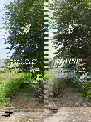 Chính chủ cần tiền bán gấp lô đất tại đường DL16 Phường Thới Hòa