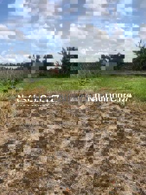 CHỦ KẸT TIỀN CẦN BÁN GẤP,ĐẤT THỔ CƯ,SHR