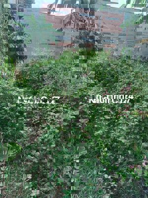 Chủ kẹt tiền cần bán gấp 300m2 đất thổ cư Thới Thượng 29, Hóc Môn...