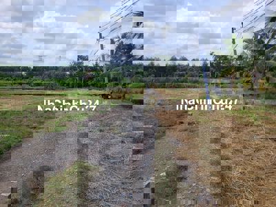 Chính chủ cần bán gấp lô đất đối diện KCN Tân Đức, full thổ, 130m2