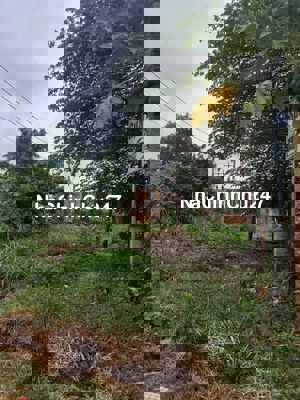 Cần bán đất chính chủ