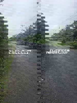 Bán đất chính chủ 28.963m2 thị trấn Mỹ Phước, Tân Phước, Tiền Giang