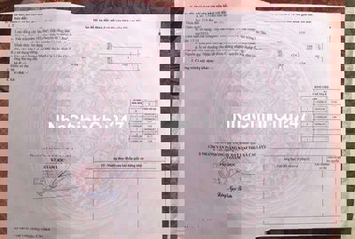 Bán đất chính chủ đường Mỹ Trang, Phường Nhị Mỹ