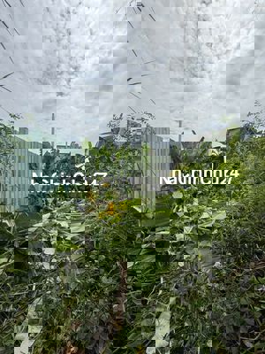 🔥🔥 [QUẬN 7] BÁN ĐẤT THỔ CƯ CHÍNH CHỦ – GIÁ TỐT – VỊ TRÍ TIỀM NĂNG