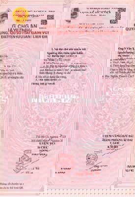 CHÍNH CHỦ BÁN ĐẤT THỔ CƯ SẴN SỔ KHU VỰC NGHĨA THÀNH-HCM (CHÂU ĐỨC CŨ)