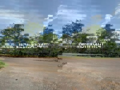 CHÍNH CHỦ BÁN HAI LÔ ĐẤT MẶT TIỀN ĐƯỜNG LỚN LÂM HÀ