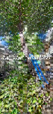 Chính chủ cần bán nhà phường Dĩ An