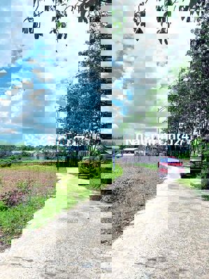 Bán đất chính chủ giá mềm