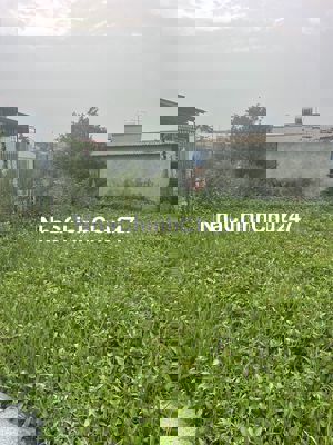 ĐẤT EM CHÍNH CHỦ  - SẴN SÀNG GIAO DỊCH NHA.