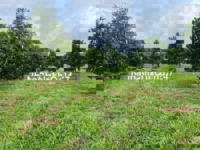 Đất Vườn Giá Ngộp Cần Bán 3400m2, Giá 750 triệu, Chính Chủ