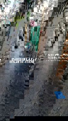 Bán nhà chính chủ