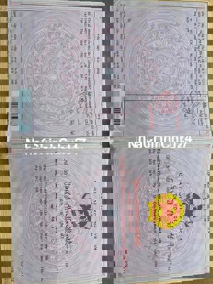 đất cây lâu năm  chính chủ