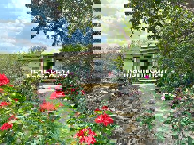 Chính chủ cần bán nhà vườn nghĩ dưỡng giáp suối