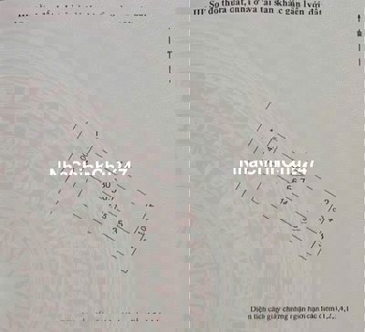 Chính chủ bán 56,7m2 đất Vĩnh Thanh sát cầu Nhật Tân, Tứ Liên