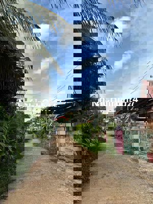 Nhà Chính Chủ Cần Bán