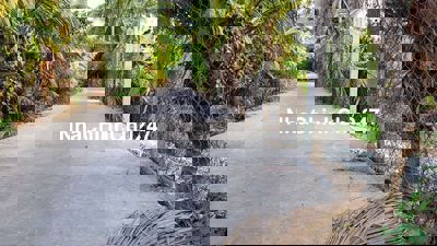 Bán đất chính chủ Ấp Mỹ Hưng, Phường Mỹ Phong, Tp Mỹ Tho, Tiền Giang