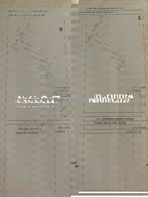 # Chủ gởi, lô đất FULL THỖ, mặt tiền đường nhựa - ôtô thông - 131,5m2