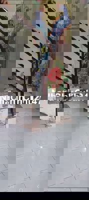 Chủ dễ tính cần bán nhà .cho con du học nước ngoài