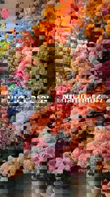 🏡 CHÍNH CHỦ BÁN NHÀ HOÀNG VĂN THÁI – 55M² – 2 TẦNG – FULL NỘI THẤT