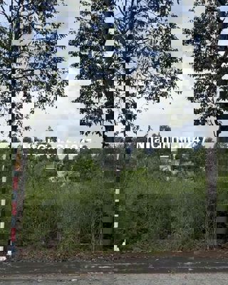 💥 Chính chủ bán nhanh đất Bến Cát – Thổ cư 100%, chỉ 2 tỷ 150