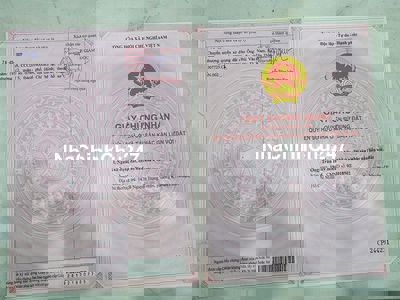 ĐẤT LÚA CHÍNH CHỦ SỔ HỒNG RIÊNG - Xã Tân Trạch, Huyện Cần Đước,Long An